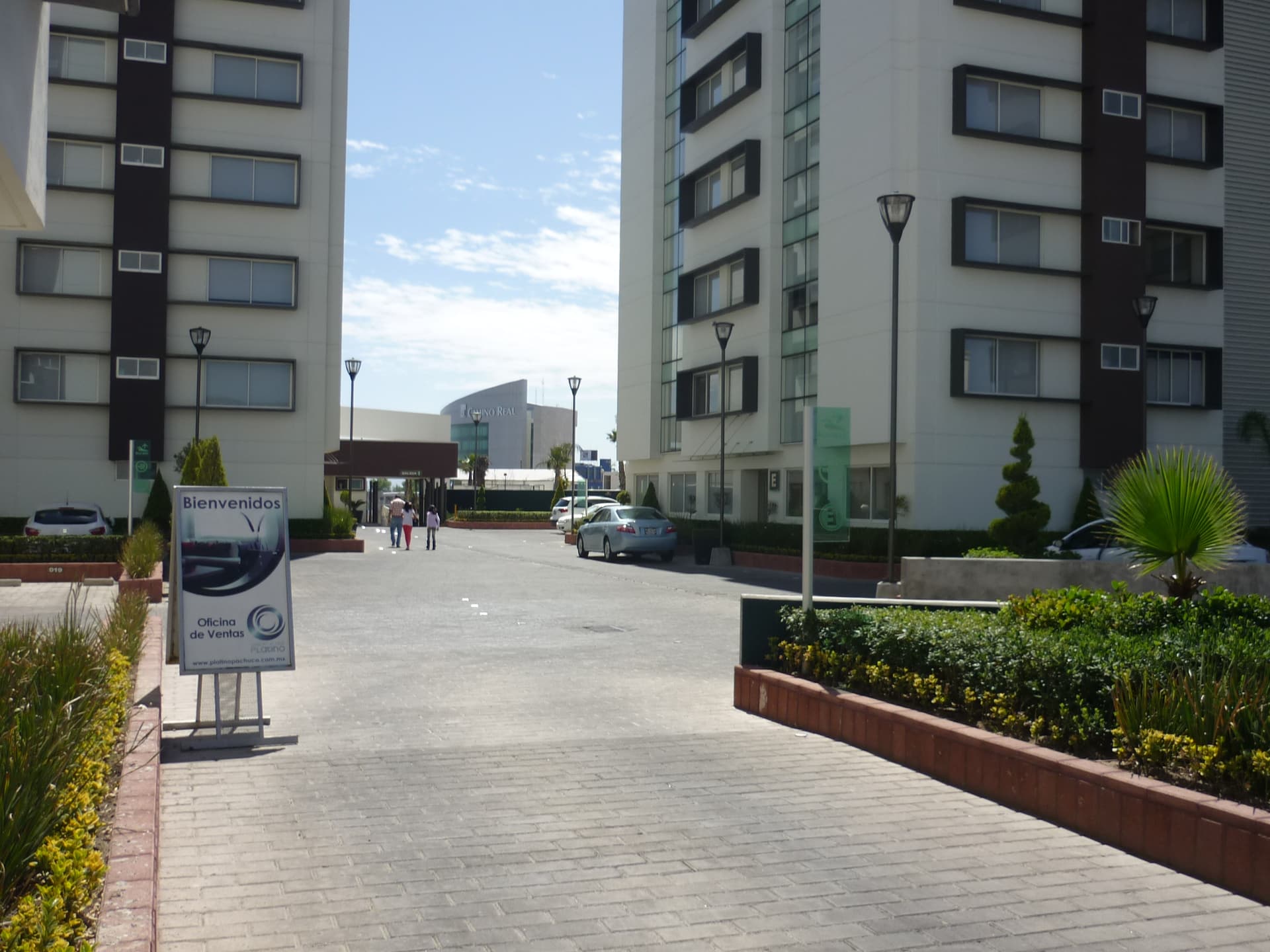 Proyecto 15
